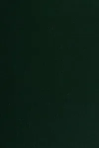 E. E. Cummings, the growth of a writer