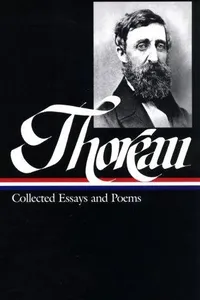 Collected essays and poems