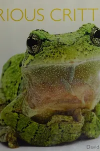 Capa de Curious critters