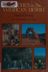 Searches in the American desert