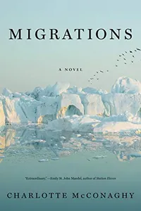 Capa de Migrations