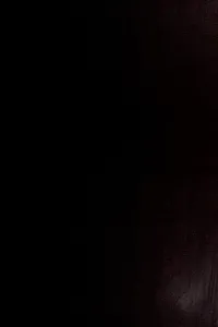 Indiana Business Directory, 1988-89 (Indiana Business Directory)