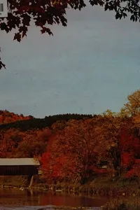 The ecology of North America