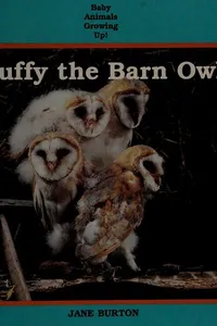 Buffy the barn owl