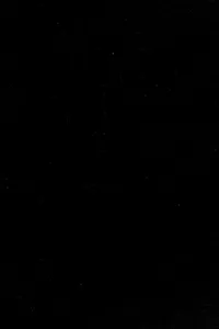 Labor in the world social structure