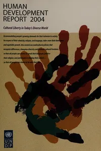Human development report 2004