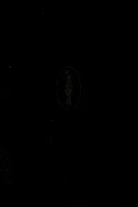 Dnevnik Vat͡s︡lava Nizhinskogo