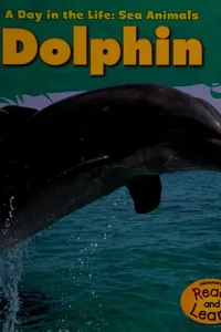Capa de Dolphin