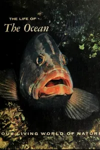 The life of the ocean