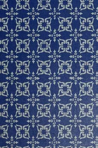 First adventures in learning program