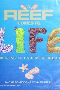 A reef comes to life