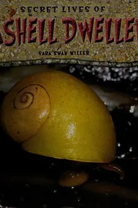 Secret lives of seashell dwellers