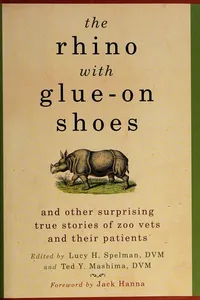 The rhino with glue-on shoes