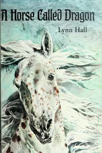 A horse called Dragon