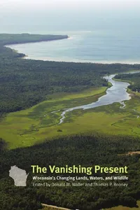 The vanishing present