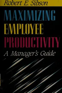 Maximizing employee productivity