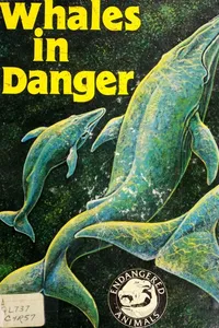 Whales in danger