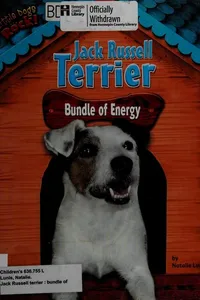 Jack Russell terrier