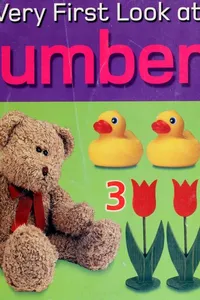 My very first look at numbers