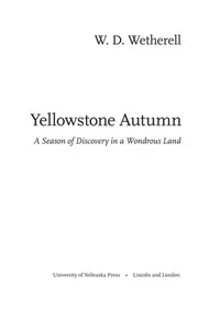 Yellowstone autumn