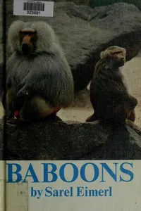 Baboons