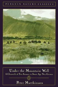 Capa de Under the Mountain Wall