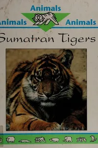 Sumatran Tigers