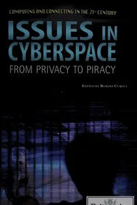 Issues in cyberspace