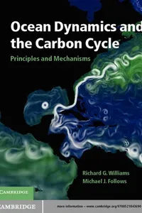 Ocean dynamics and the carbon cycle