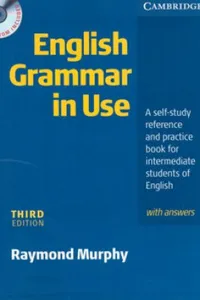 English Grammar In Use