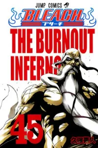 Bleach #45