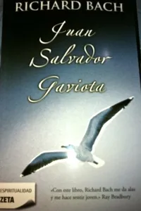 Juan Salvador Gaviota