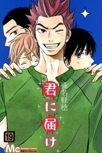 Cover of Kimi ni Todoke #19 by Karuho Shiina