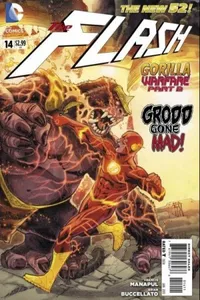 The Flash #14