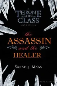 The Assassin and The Healer