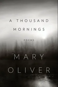 A Thousand Mornings