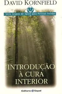 Introdução à Cura Interior