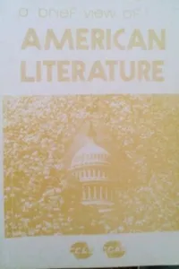 A brief view of american literature