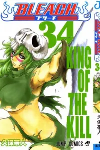 Bleach #34