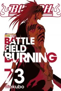 Cover of Bleach #73 by Tite Kubo