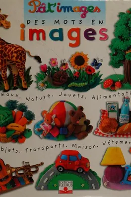 Capa de Des mots en images