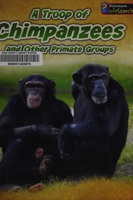 Capa de A troop of chimpanzees, and other primate groups