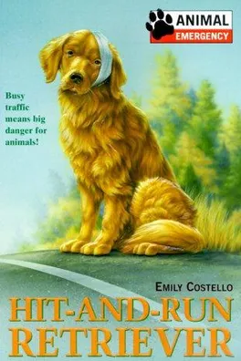 Capa de Hit-and-run retriever