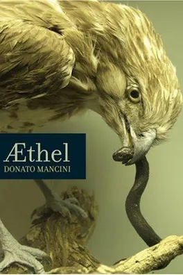 Capa de AEthel