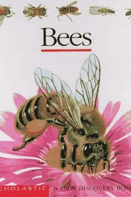 Capa de Bees (First Discovery)