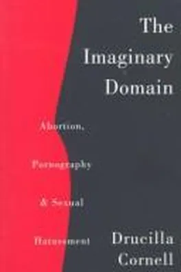 Cover of The imaginary domain