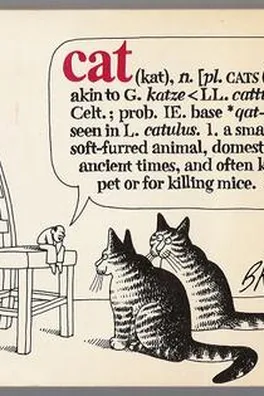 Capa de Cat (kat), n.