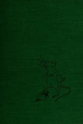 Capa de The boy, the rat, and the butterfly