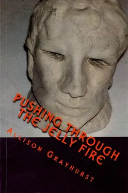 Capa de Pushing Through the Jelly Fire
