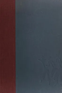 Capa de Primitive art